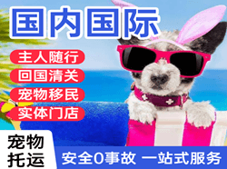 舟山航空邮寄国际宠物托运 【国